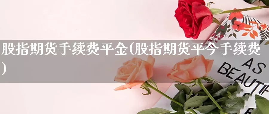 股指期货手续费平金(股指期货平今手续费)_https://www.hkyifu.org.cn_香港期货公司_第1张